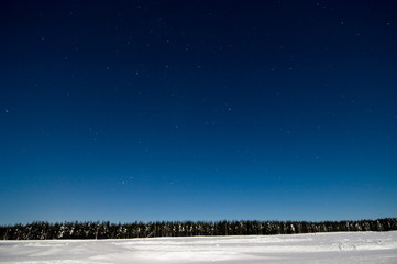 Fototapeta premium Night winter scene with starry sky