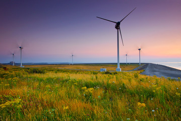 Wind turbine farm with purple sky and grass in front