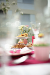 elegant dining outdoor