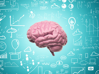 brain 3d