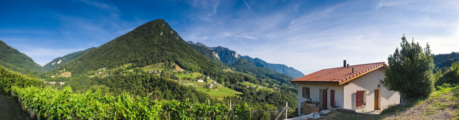Vineyards Villas and Vistas