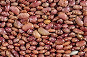 Beans, red pointed, pinto beans