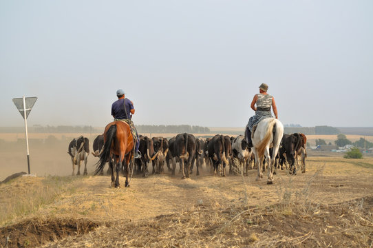 East Cowboys2