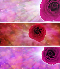 3 x Valentine Rose Website banner heads
