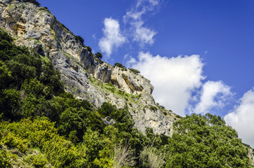 Obraz premium Beautiful rock