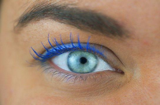 Close Up, Woman's Blue Eye