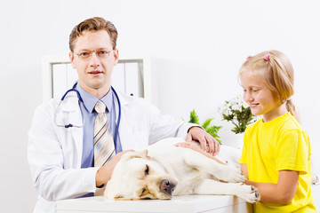 Dog at vet clinic