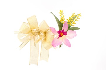 Bow and orchid gift