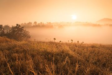 Landscape of mountain view at Phuthapboek Khoo kho , Phetchabun
