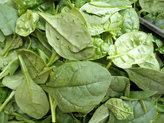 Pile of green leaf spinach