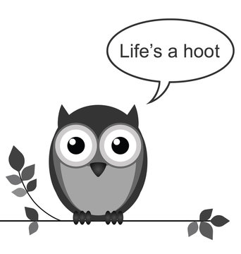 Life is a hoot owl message