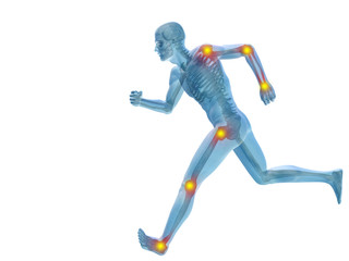3D human man anatomy with articular pain
