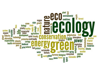 Conceptual ecology word cloud