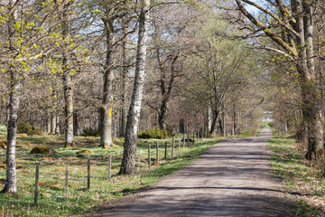 Country road