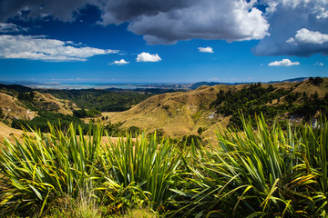 New Zealand Landscape