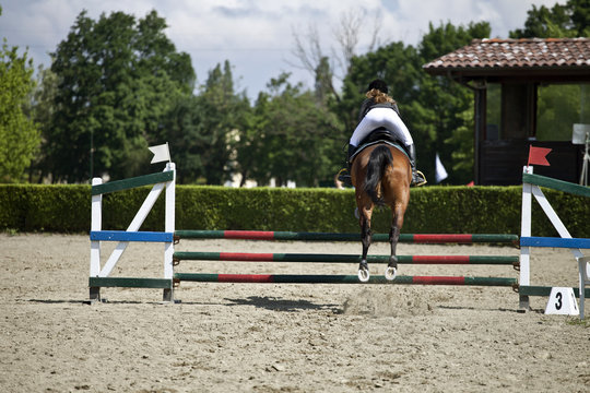 cavallo salto equitazione