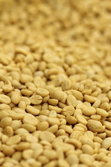 raw coffee bean before roast