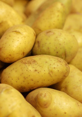close up fresh potato in market