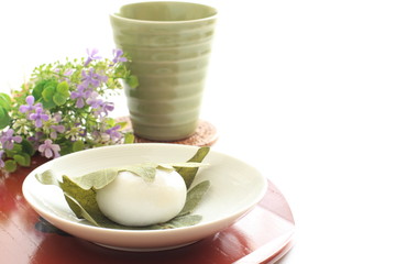 Japanese confectionery, KashiwaMochi