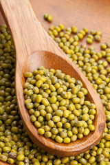 Raw mung beans on spoon