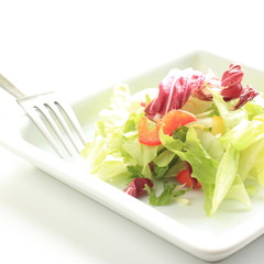 lettuce salad on square dish with copy space