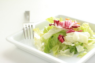 lettuce salad on square dish with copy space