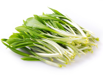 Fresh ramson