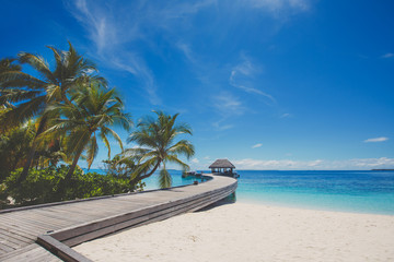 Landscape of tropical island beach, palm trees, buildings