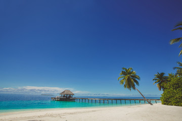 Fototapeta na wymiar Landscape of tropical island beach, palm trees, buildings