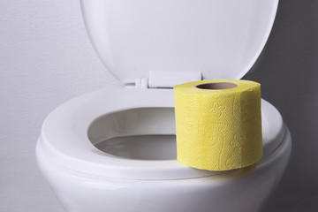 Toilet paper on a toilet, close-up