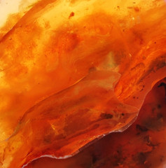 Beautiful natural Baltic amber in bright colors