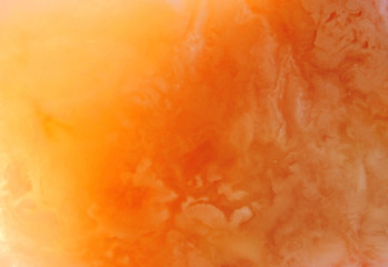 Beautiful natural Baltic amber in bright colors