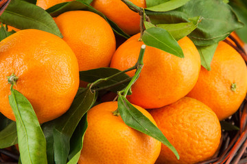 ripe mandarins with leaves