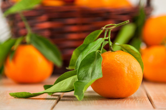 ripe mandarins with leaves in a basket