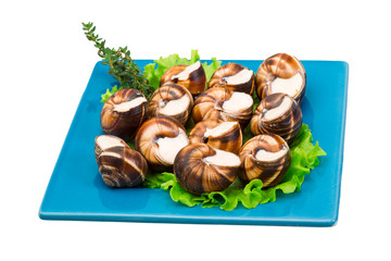 Escargot