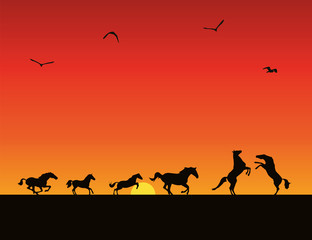 Fototapeta na wymiar Vector silhouettes of horses, sunset