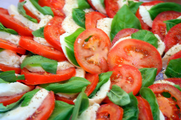 Artistically arranged cheese and tomato salad