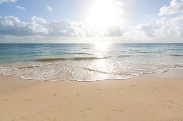 Sea