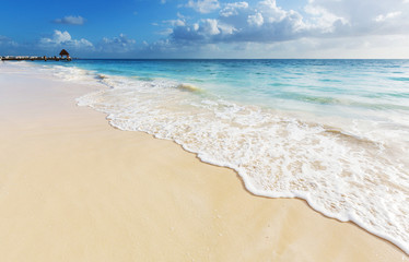 Sea