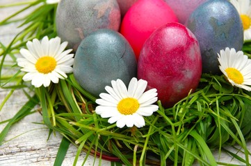 Ostern -  Osterkarte - gefärbte Ostereier im Nest