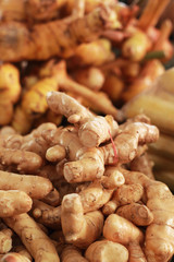 Ginger root  in the market