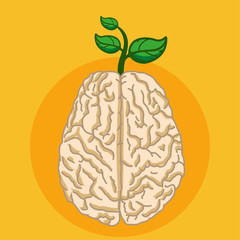 Green plant grow from human brain, Eco thinking concept