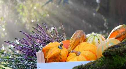 herbststimmung
