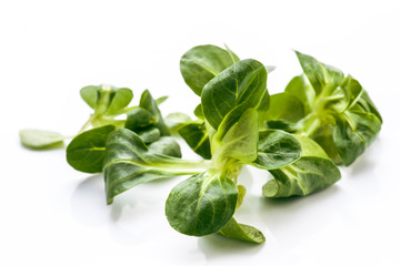 hojas de ensalada cruda aislados en blanco