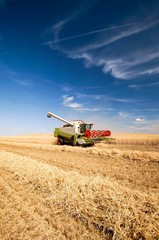 Naklejka premium Mähdrescher bei der Getreideernte