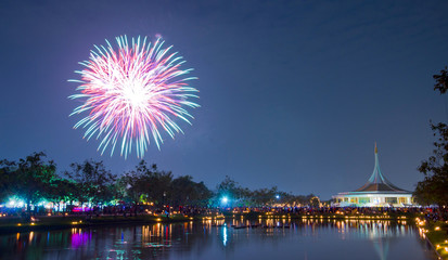 Fireworks at Suan Luang Rama IX