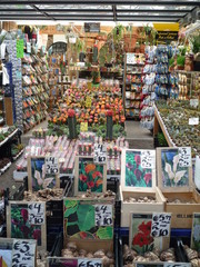 Fototapeta premium Amsterdam Blumenmarkt