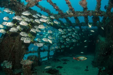 shipwreck, caribbean sea © leonardogonzalez