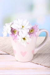 Beautiful chrysanthemum flowers in cup