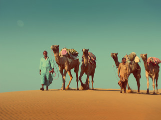cameleers with camels in desert  - vintage retro style
